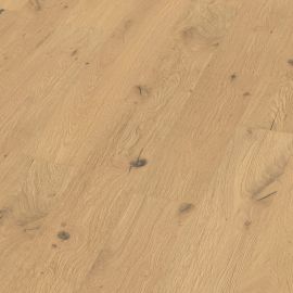 Oak No 32 - South Downs